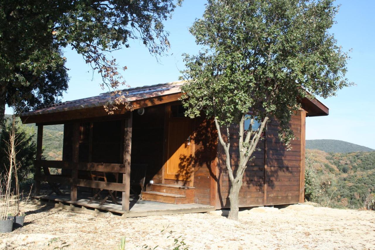 Domaine Du Serre D'Avene Saint-Christol-lès-Alès Εξωτερικό φωτογραφία